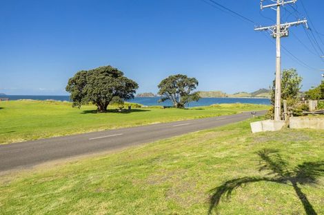 Photo of property in 876 Black Jack Road, Opito Bay, Whitianga, 3592