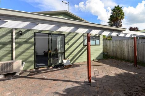 Photo of property in 217 Fox Street, Hamilton East, Hamilton, 3216