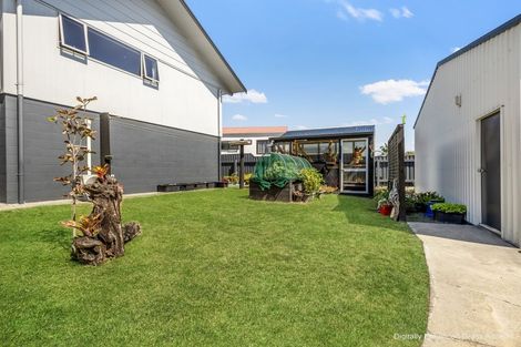 Photo of property in 251 Whirinaki Road, Eskdale, Napier, 4182