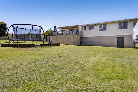 Photo of property in 17 Suther Street, Waverley, 4510