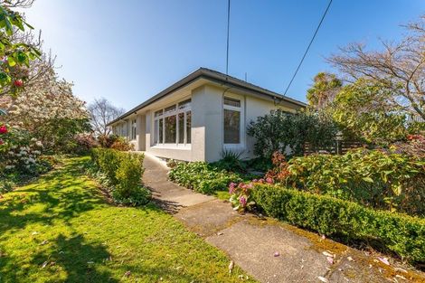 Photo of property in 41 Connolly Street, Geraldine, 7930