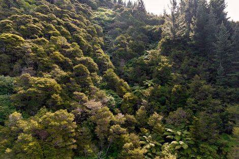 Photo of property in 895 Waikakaho Road, Tuamarina, Blenheim, 7273