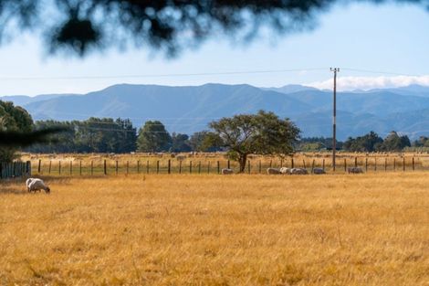 Photo of property in 247 Cross Line, Morison Bush, Greytown, 5794