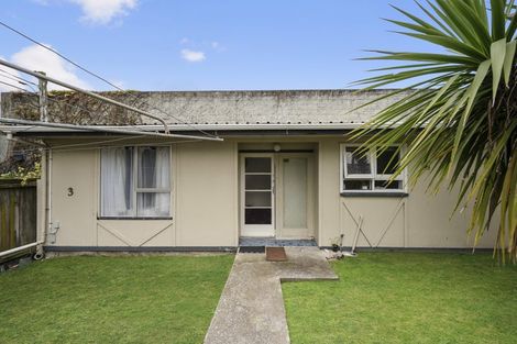 Photo of property in 25 Myrtle Crescent, Mount Cook, Wellington, 6021