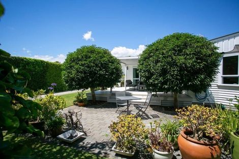 Photo of property in 39 King Street, Cambridge, 3434