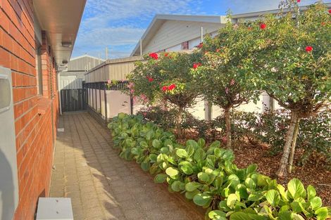 Photo of property in 52b Jocelyn Street, Te Puke, 3119