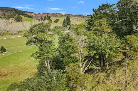 Photo of property in 170 Glenrae Road, Tapawera, Wakefield, 7096