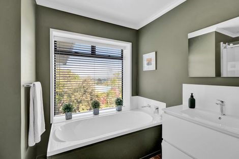 Photo of property in 43 Lincoln East Road, Everett Park, Inglewood, 4389