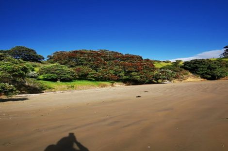 Photo of property in 14 Lori Lane, Coopers Beach, 0420