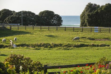 Photo of property in 858 Wainui Road, Wainui, Gisborne, 4010