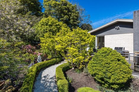Photo of property in 97 Martin Road, Fairfield, Dunedin, 9018