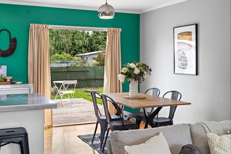 Photo of property in 49a Cornwall Street, Masterton, 5810