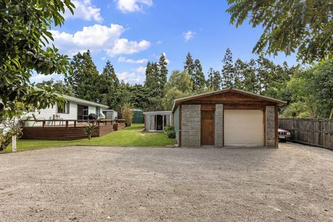 Photo of property in 114r Kairua Road, Kairua, Tauranga, 3175