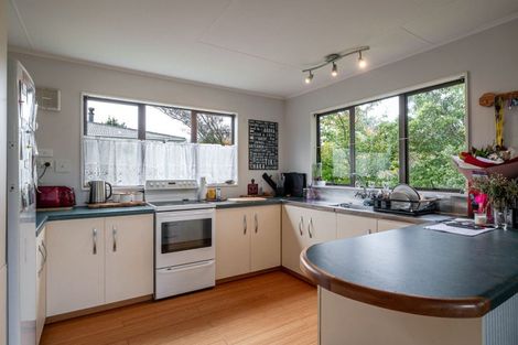 Photo of property in 38 Tararua Street, Pahiatua, 4910