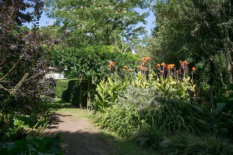 Photo of property in 8 Mclarnon Road, Cambridge, 3495