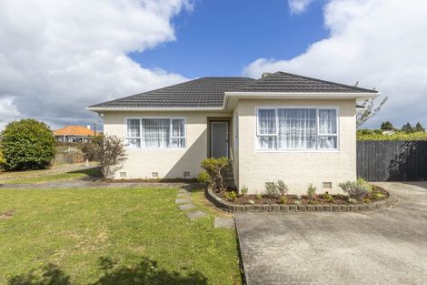 Photo of property in 55 Wrantage Street, Westown, New Plymouth, 4310