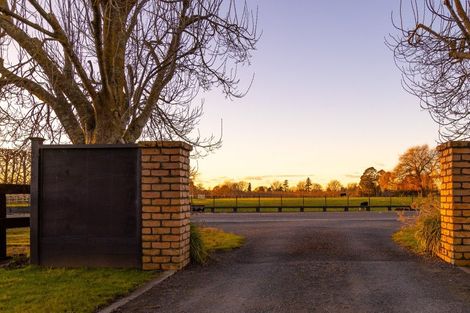 Photo of property in 161 Hautapu Road, Pukemoremore, Cambridge, 3493