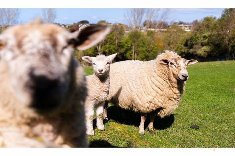 Photo of property in 34 Mahoneys Hill Road, Oceanview, Timaru, 7910