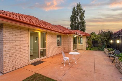 Photo of property in 19 Caleb Place, Northwood, Christchurch, 8051