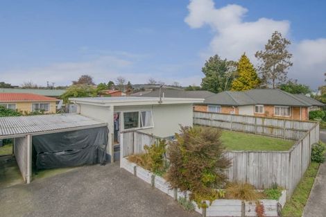 Photo of property in 149a Old Wairoa Road, Papakura, 2110