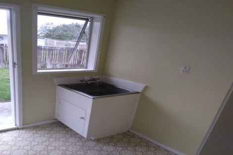 Photo of property in 102 Arapuni Street, Putaruru, 3411