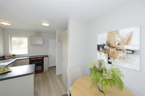 Photo of property in 17 Picton Avenue, Riccarton, Christchurch, 8011