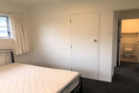 Photo of property in 97 Fitzroy Avenue, Fitzroy, Hamilton, 3206