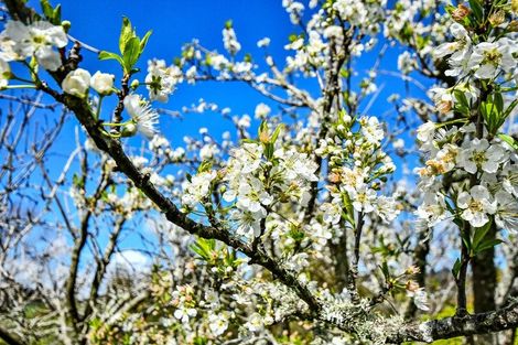 Photo of property in 26 Whangarata Road, Tuakau, 2121