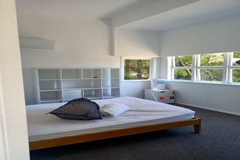 Photo of property in 13a Adams Terrace, Aro Valley, Wellington, 6021