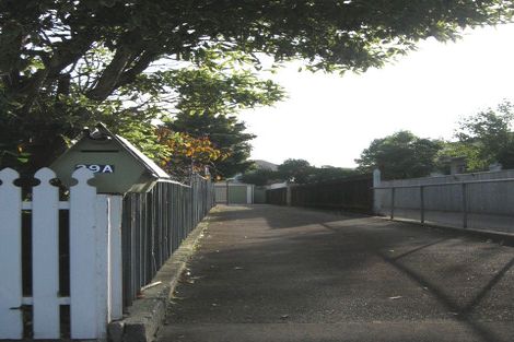 Photo of property in 39b Brunswick Street, Hutt Central, Lower Hutt, 5010