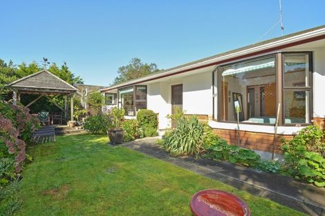 Photo of property in 50d Mcmaster Street, Greytown, 5712