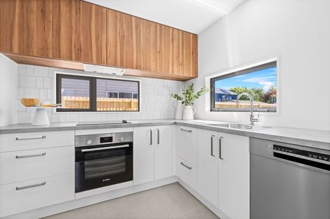 Photo of property in 65 Thackeray Place, Waltham, Christchurch, 8023