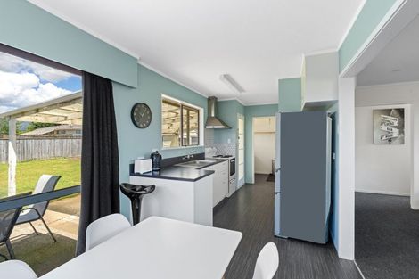 Photo of property in 33 Solway Street, Levin, 5510
