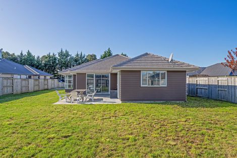 Photo of property in 11 Maple Grove, Kingston, Wellington, 6021