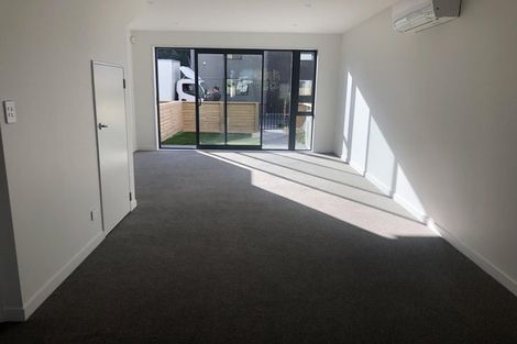 Photo of property in 124u3 Britomart Street, Berhampore, Wellington, 6023