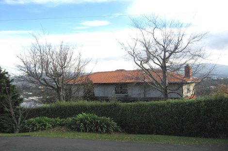 Photo of property in 17 Merchiston Street, Andersons Bay, Dunedin, 9013