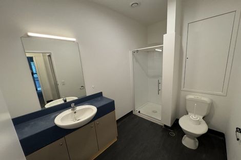 Photo of property in Hanson House, 1b/27 Hanson Street, Mount Cook, Wellington, 6021