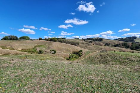 Photo of property in 1386 Buckland Road, Karapiro, Cambridge, 3496