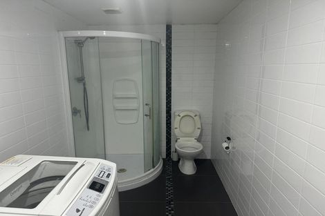 Photo of property in Accommodation Central, 2l/219 Willis Street, Te Aro, Wellington, 6011