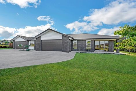 Photo of property in 54 Te Ara Aukati Terrace, Pokeno, 2471