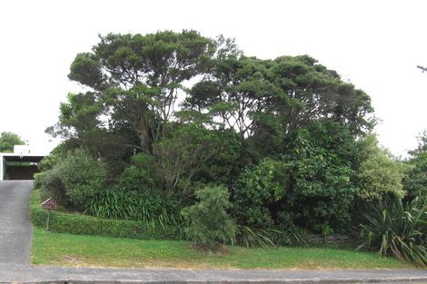 Photo of property in 22 Eskdale Road, Birkdale, Auckland, 0626