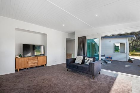 Photo of property in 64 John Norrie Place, Motuoapa, Turangi, 3382