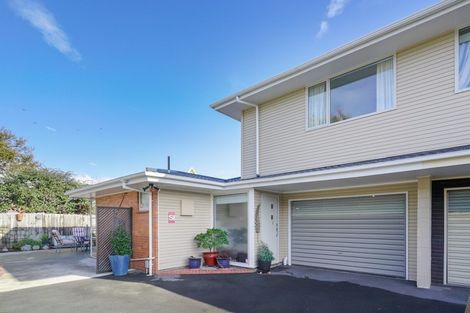 Photo of property in 17 Molesworth Place, Somerfield, Christchurch, 8024