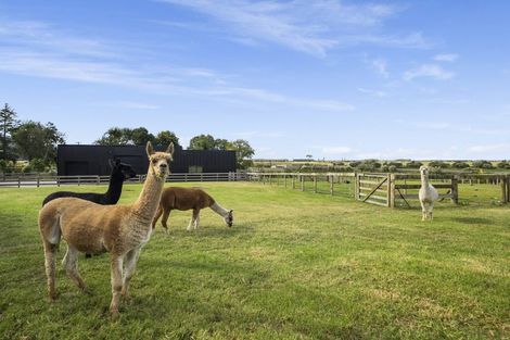 Photo of property in 503b Te Puke Highway, Te Puke, 3187