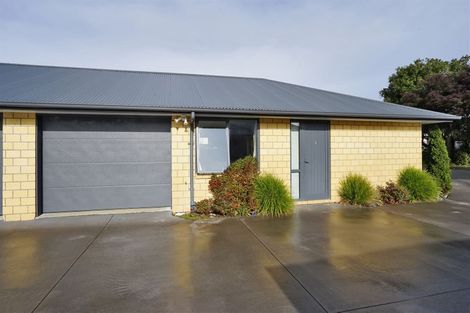 Photo of property in 21u6 Fifth Avenue, Enderley, Hamilton, 3214
