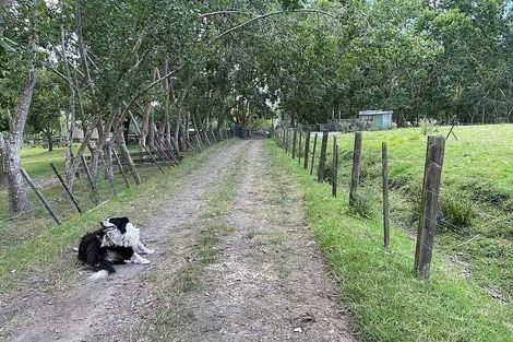 Photo of property in 654 Inland Road, Helensville, 0875