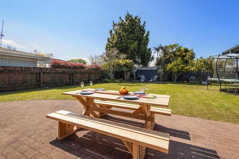 Photo of property in 16 Sheffield Street, Matamata, 3400
