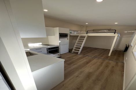 Photo of property in 45 Scarba Street, Roslyn, Dunedin, 9010