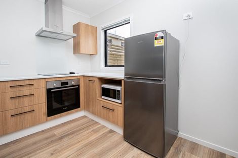 Photo of property in 13u2 Palmerston Street, Hamilton Central, Hamilton, 3204