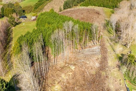 Photo of property in 238 Gladstone Road North, Mosgiel, 9024